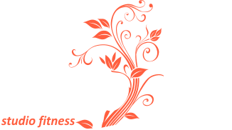 Step Up fitness